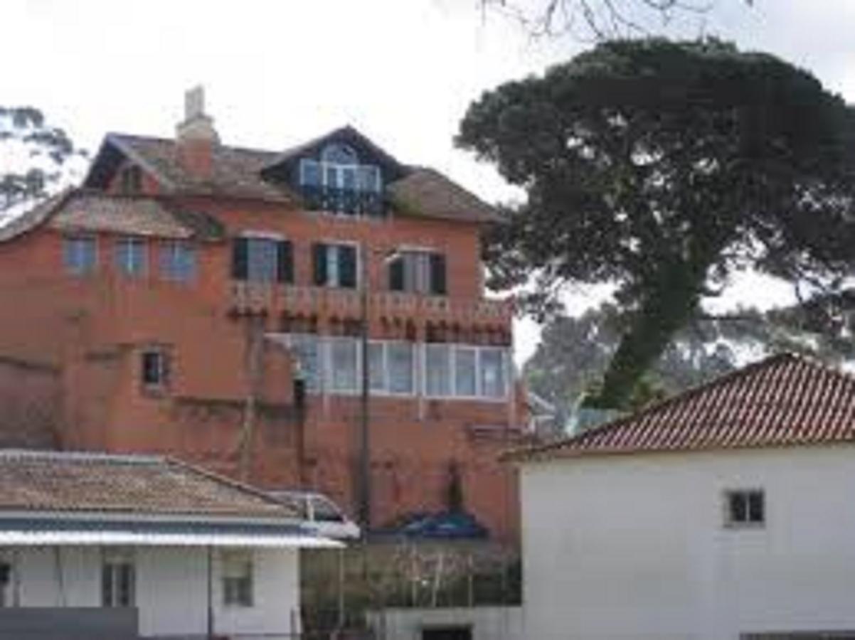 Shepinetree - Pinheira Hotel Vale de Lobos Kültér fotó