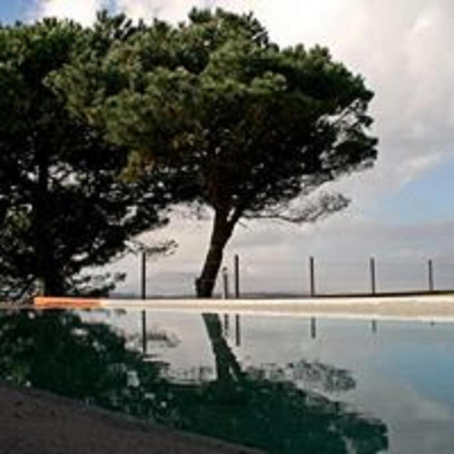 Shepinetree - Pinheira Hotel Vale de Lobos Kültér fotó